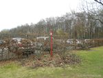 Zollverein 3