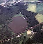 Beerenbrch